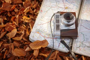 Best Travel Cameras